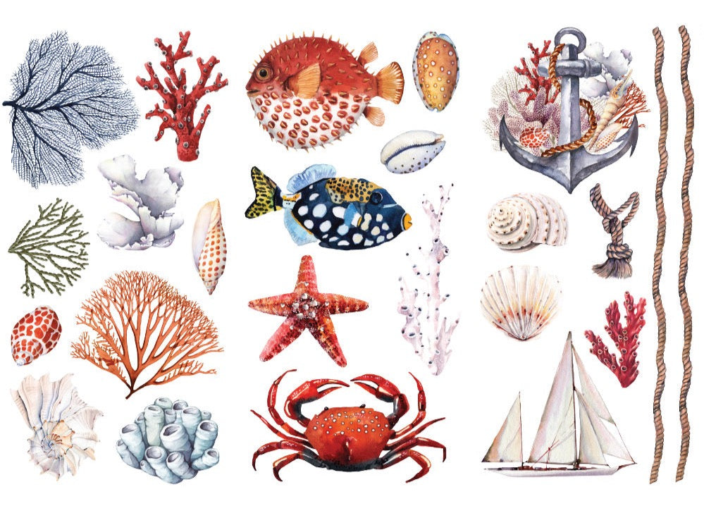 Amazing Sea Life - Mini Transfer - Redesign with Prima