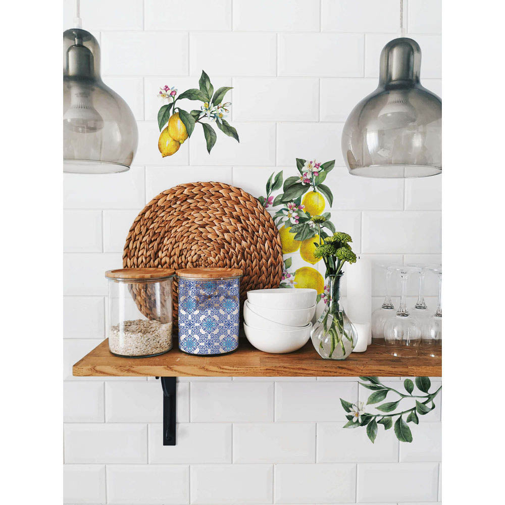 Lemon Tree - Redesign Small Transfer