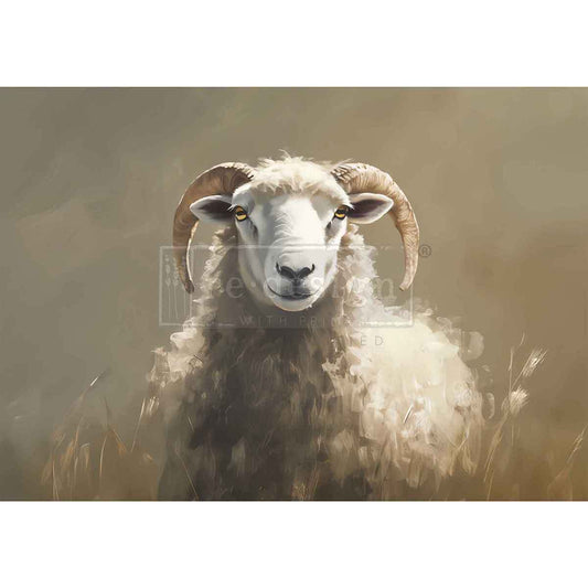 A3 Decoupage Fiber - Hillside Grazing