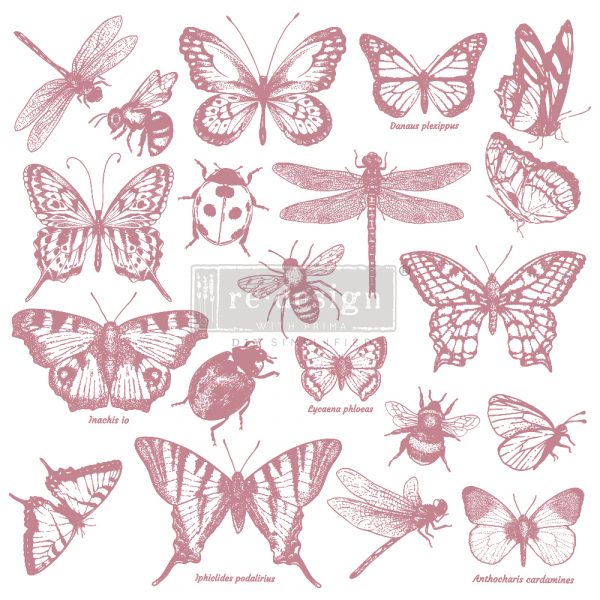 Monarch Collection- Decor Stamps