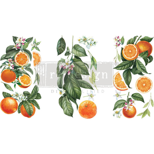 Citrus Slice - Mini Transfer - Redesign with Prima