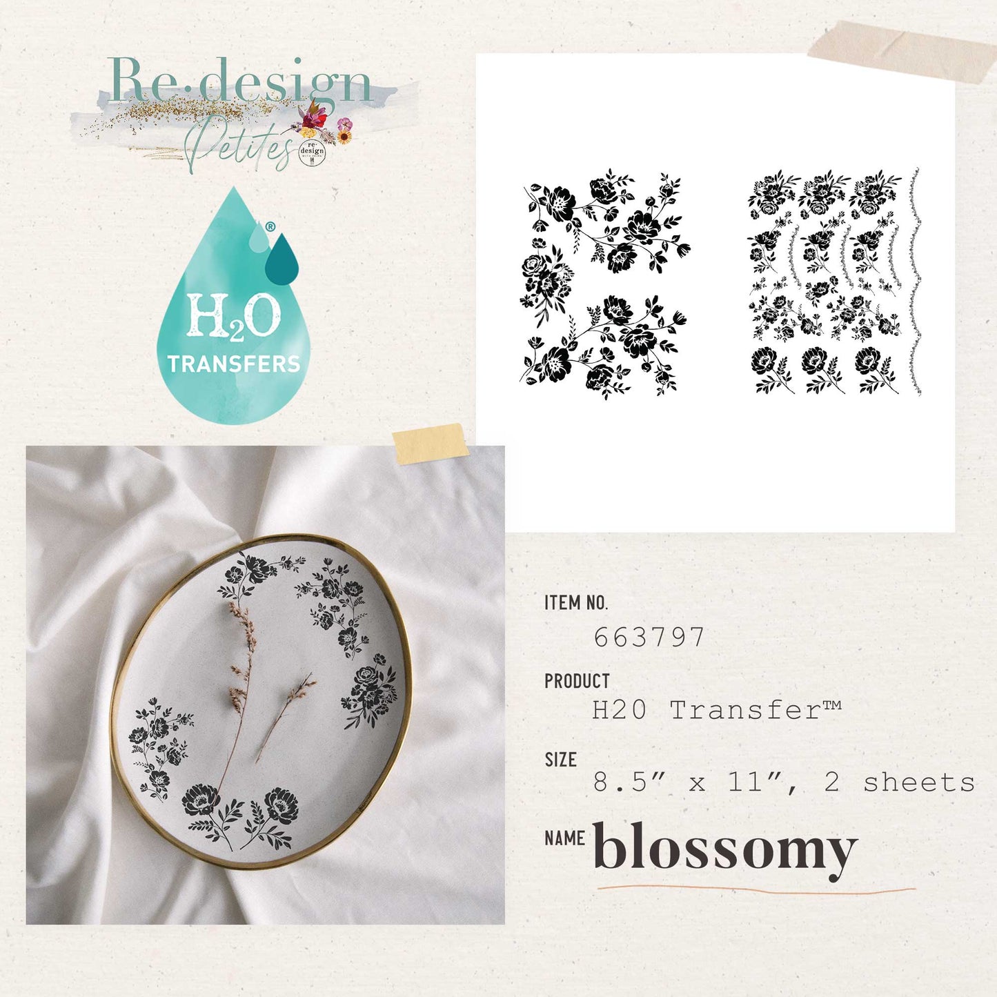 Blossomy - H2O Transfer - Redesign with Prima